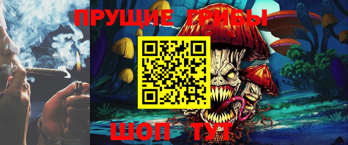 Псилоцибиновые грибы Magic Shrooms Верхняя Пышма